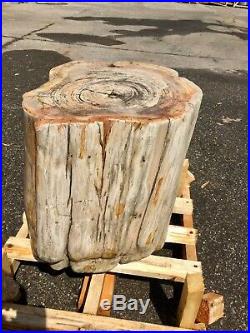 Petrified wood stool stump table pedestal fossil