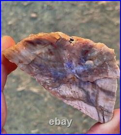Pink and Blue Opal Limb Cast Petrified Wood Opalized Agatized Chalcedony