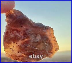 Pink and Blue Opal Limb Cast Petrified Wood Opalized Agatized Chalcedony Rare