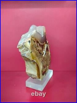 Pink petrified wood agate crystal polished with base 1980gr 4x16x18cm (63)