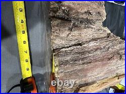 Polished, AZ, NV, Petrified Wood Round CRYSTAL Pockets End Cut 14 LBS VERY HEAVY