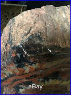 Polished Arizona Petrified Wood. 73.5 Pounds. Rare