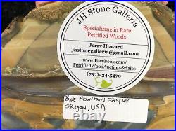 Polished Blue Mountain Jasper Slab Specimen Oregon 5x4 petrified geology