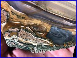 Polished Blue Mountain Jasper Slab Specimen Oregon 6.5x4.25 petrified geology