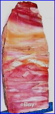 Polished CHINLE, Arizona Rainbow Petrified Wood Slab With Stand