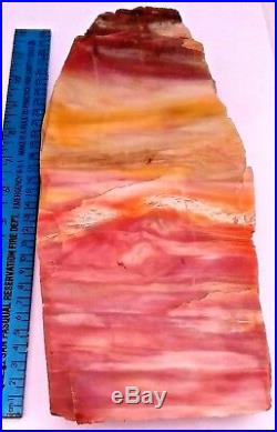 Polished CHINLE, Arizona Rainbow Petrified Wood Slab With Stand