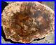 Polished_Cut_Petrified_Wood_Slab_Mineral_Crystal_Stone_from_Madagascar_2_01_kxe