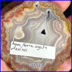 Polished Exceptional Agua Nueva Agate Slab Specimen Mexico 3.25x3.25 geology