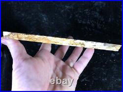 Polished Longitudinal Cut Petrified Juniper Wood Tuscarora, NV 7.5x4.25