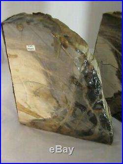 Polished Petrified Oregon Oak Wood Bookends Large Heavy Pair