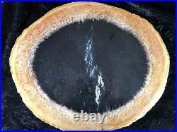 Polished Petrified Wood Palm West Java, Indonesia 14x11.5 Miocene Geology