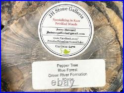 Polished Petrified Wood Pepper Tree Schinoxylon Green River Fm. WY 6.5x5.5
