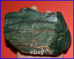 Polished Rare Green Jasper Replaced Petrified Wood Limb Casting Collected Oregon