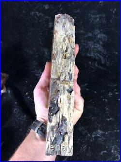 Polished SelfStanding Longitudinal Cut Petrified Juniper Wood Tuscarora, NV 9