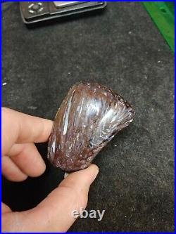 Polished piece of Paleo Osmunda Petrified Fern from Australia
