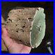 Polished_rare_green_petrified_wood_from_Zimbabwe_top_chromium_log_4_lbs_01_lgzu