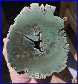 Polished rare green petrified wood from Zimbabwe top chromium log 4+ lbs