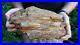 Prehistoric_Petrified_Fossilized_Wood_Slab_from_Colorado_Have_600_Lbs_01_pvq