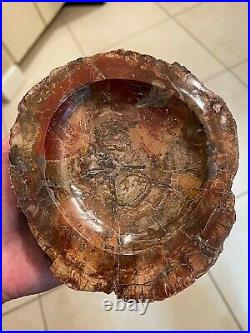 Prettified Wood Fossilized Agatized Candy Dish Ash Tray Bowl Specimen 777