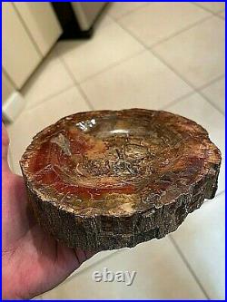 Prettified Wood Fossilized Agatized Candy Dish Ash Tray Bowl Specimen 777