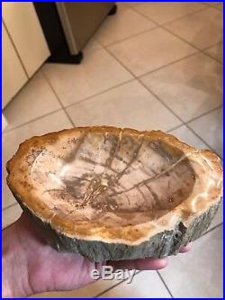 Prettified Wood fossilized Agatized Crystal Candy Dish Ash Tray Specimen 008