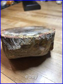 Prettified fossilized Agatized Aracaria Utah Wood Crystal Gemstone Specimen 000