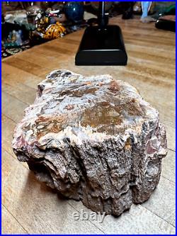 Prettified fossilized Agatized Araucaria Utah Wood Crystal Gemstone Specimen 006