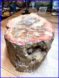 Prettified fossilized Agatized Araucaria Utah Wood Crystal Gemstone Specimen 007