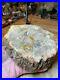 Prettified_fossilized_Agatized_Araucaria_Utah_Wood_Crystal_Gemstone_Specimen_555_01_rlgu