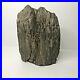 RARE_Illinois_Petrified_Wood_from_Coal_City_Bookend_Collectible_Decor_Fossils_01_bqpr