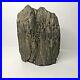 RARE_Illinois_Petrified_Wood_from_Coal_City_Bookend_Collectible_Decor_Fossils_01_pib