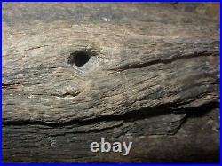 RARE PETRIFIED IRONWOOD DISPLAY-Large Woodpecker Hole with Bug Holes