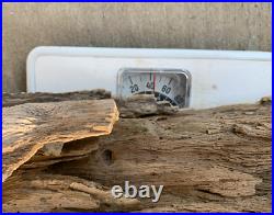 RARE Texas Petrified Oak Wood Detailed Rotted Log Montgomery Co Natural Fossil