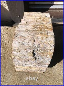 REILLYS ROCKS 94 Lb! Contour Polished Full Round Arizona Petrified Wood