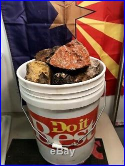 REILLYS ROCKS Five Gallon Bucket Colorful Arizona Petrified Wood, 64 Lbs