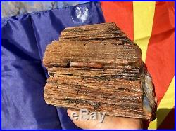 REILLYS ROCKS Highest Quality Arizona Rainbow Petrified Wood, 14 Lb
