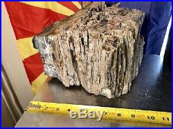 REILLYS ROCKS Rare Preserved Arizona Petrified Wood WithStunning Color, 27 Lbs