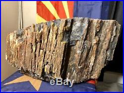 REILLYS ROCKS Top Quality Detailed Chunk Of Arizona Peteified Wood, 62 Lbs