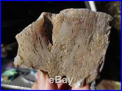 RFM- CROOKED RIVER PETRIFIED WOOD Full Round FORKED LIMB CAST Collector Specimen