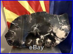 RR LARGE THICK Mirror Polished Black Arizona Petrified Wood Slab, FULL ROUND