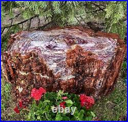 RR Massive Arizona Rainbow Petrified Wood Stump, Free Delivery, 2500+lbs