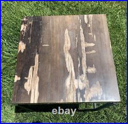 RR? Petrified Wood Table From Utah, 62+lb Slab, 19.75 X 19.75 X 2