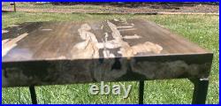 RR? Petrified Wood Table From Utah, 62+lb Slab, 19.75 X 19.75 X 2