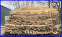 RR? Top Shelf Arizona Petrified Wood WithDark Shimmering Smoky Quartz, 11.5 Lb