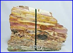 Rainbow Petrified Wood Bookends 12lbs 3.5oz! 6.5x 8.5x 4.5 NICE
