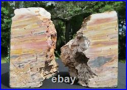Rainbow Petrified Wood Bookends 12lbs 3.5oz! 6.5x 8.5x 4.5 NICE