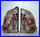 Rainbow_Petrified_Wood_Bookends_Double_Felted_Fossils_01_ohrk