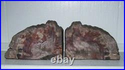 Rainbow Petrified Wood Bookends Double Felted Fossils