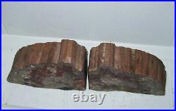Rainbow Petrified Wood Bookends Double Felted Fossils