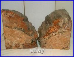 Rainbow Petrified Wood Bookends Felted 16 lb 3 oz pair